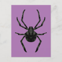 Plain Old Spider