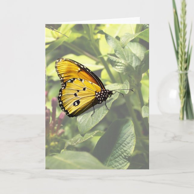 Plain Tiger Butterfly Card Kort (Framsida)