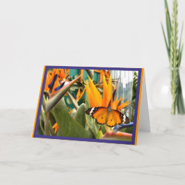Plain Tiger Butterfly Kort
