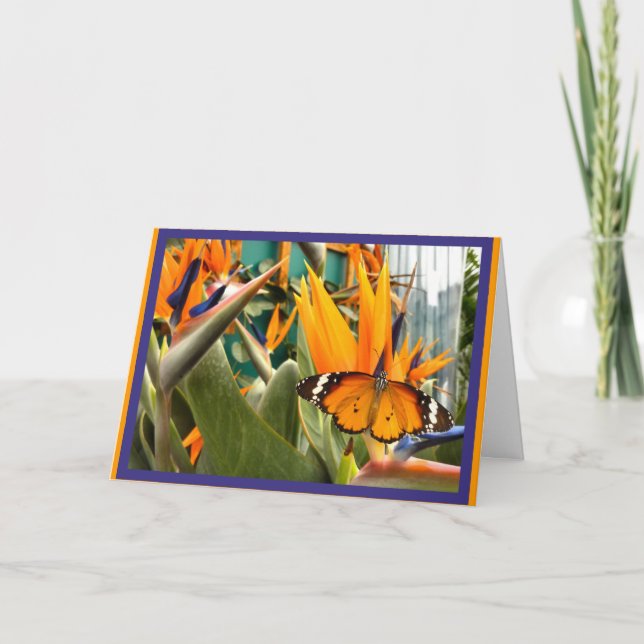 Plain Tiger Butterfly Kort (Framsida)