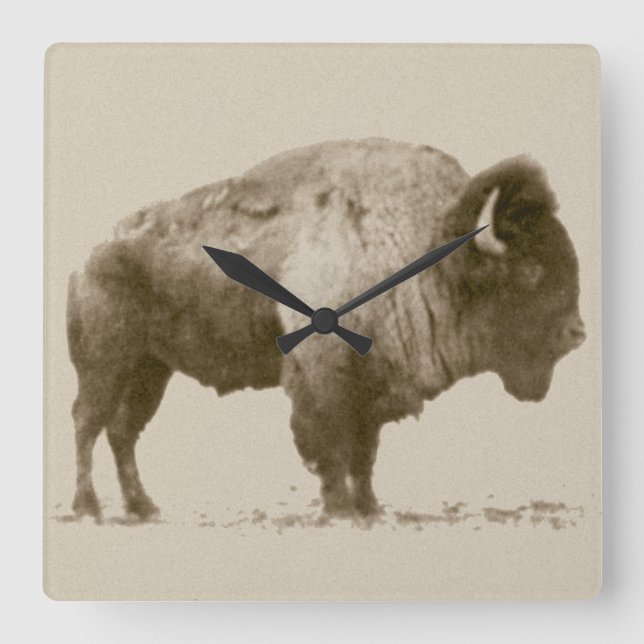 Plains Bison Fyrkantig Klocka (Framsida)