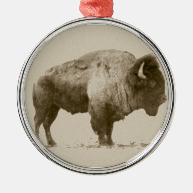 Plains Bison Julgransprydnad Metall (Framsidan)