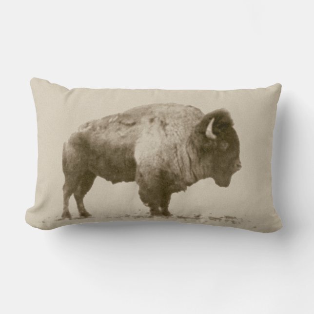 Plains Bison Lumbarkudde (Framsida)
