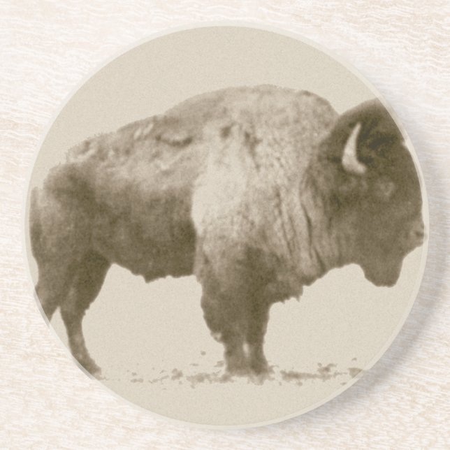 Plains Bison Underlägg Sandsten (Framsidan)