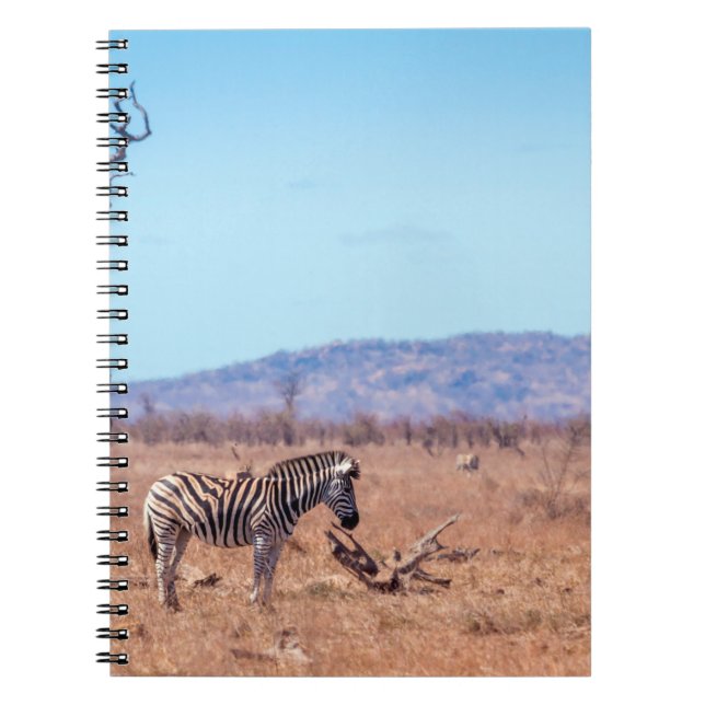 Plains zebra i nationalparken Kruger, södra Afrika Anteckningsbok (Framsidan)