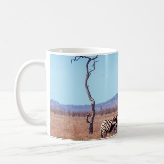 Plains zebra in Kruger National park, South Africa Kaffemugg (Vänster)