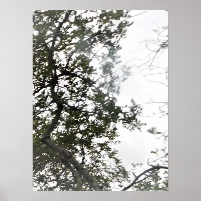 PLAKATKONST OCH DESIGNSTILAR  POSTER (Framsidan)