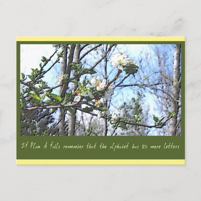 Plan A Vykort (Framsida)