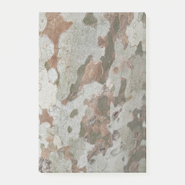 Plane tree camouflage looks bark pattern n post-it (Framsida)