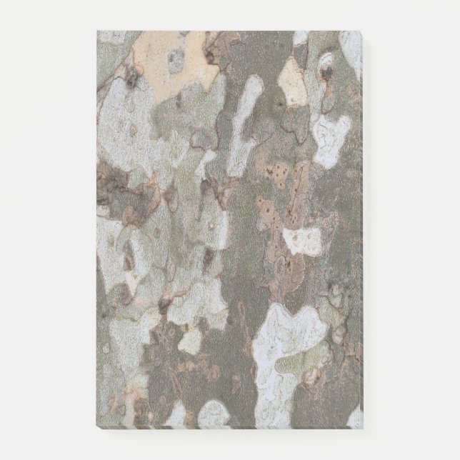 Plane tree camouflage looks bark pattern post-it n (Framsida)