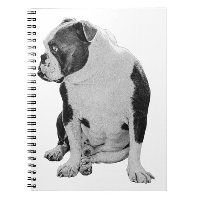 Planer med sätesförläggning anteckningsbok (Framsidan)