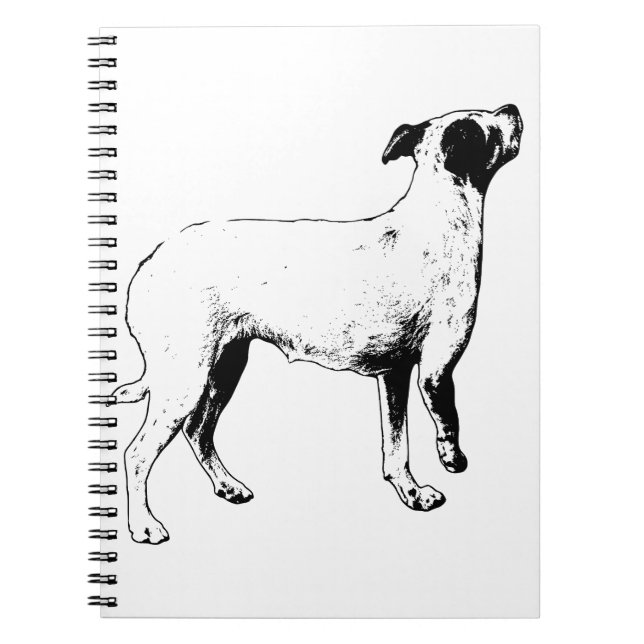 Planer, men ljusare anteckningsbok (Framsidan)