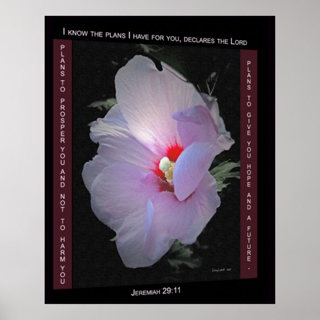 Planer Poster (Framsidan)