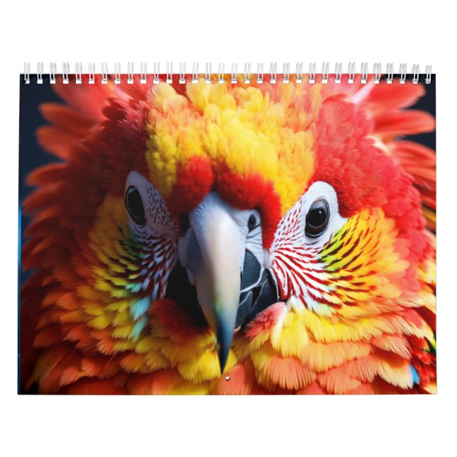 "Planera ditt år framöver: Vi presenterar vår kale Kalender (Omslag)