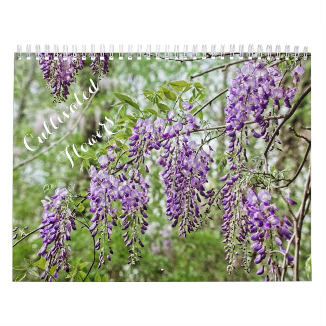Planerad blomsterkalender kalender (Omslag)