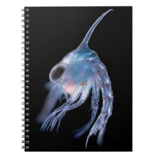 Planktonic skaldjur anteckningsbok