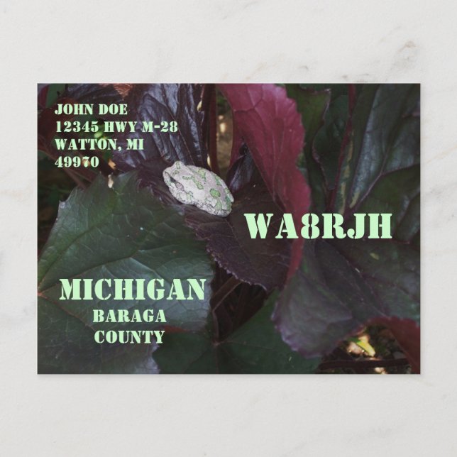 Planlägg din egna QSL-SKINKA radiosände Op djurliv Vykort (Framsida)