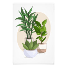 Plant 3 Vector Poster utskrift från min Sims 4 CC