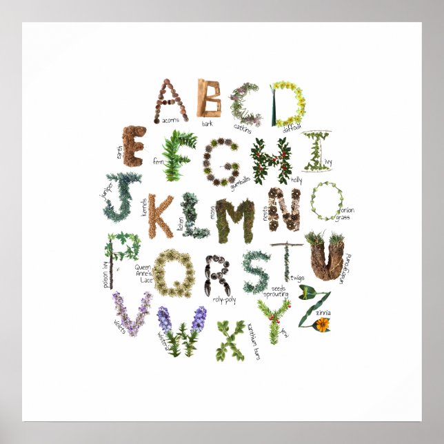 Plant Alphabet Nature Nursery Botanical ABC Poster (Framsidan)