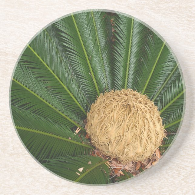 Plant/Flower Series—Sago Handflatan Underlägg (Framsidan)