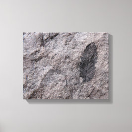 Plant Fossil 350 miljoner Yr. Gammal fotoutskrift Canvastryck