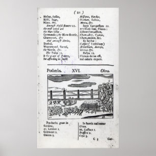 Plant Husbandry från Orbis sensualism pictus Poster