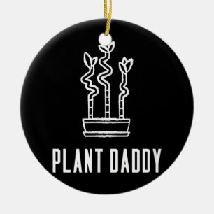 Plant Pappa Lucky Bamboo Houseplant Julgransprydnad Keramik