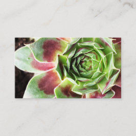 Plant Sitter Houseplant Plant Watering Visitkort