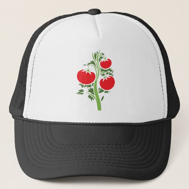 Plant Tomato Huge Fruits Vegetable Red Keps (Framsida)