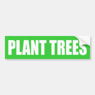 Plant Träd Bildekal