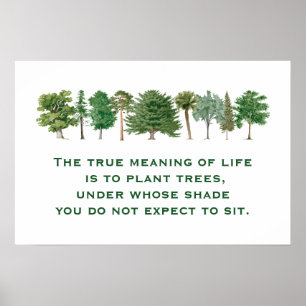 Plant Träd: Life Environmental Say B Poster