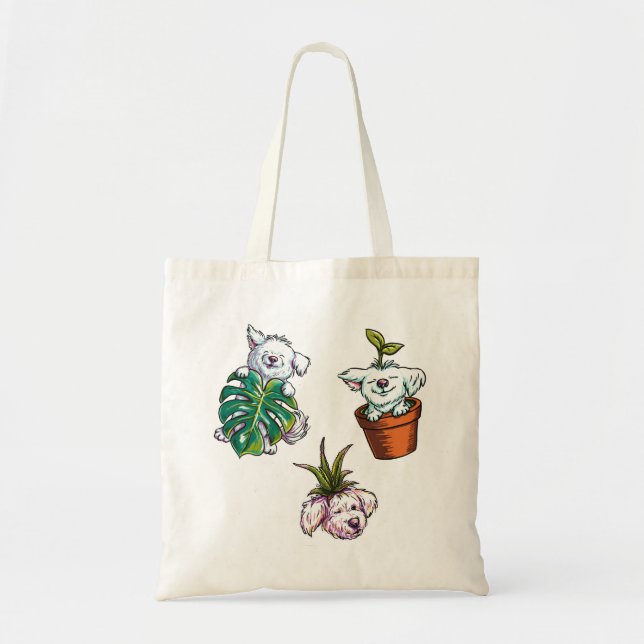 Planta Valper: Jack Tygkasse (Framsidan)
