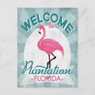 Plantation Florida Rosa Flamingo Retro Vykort