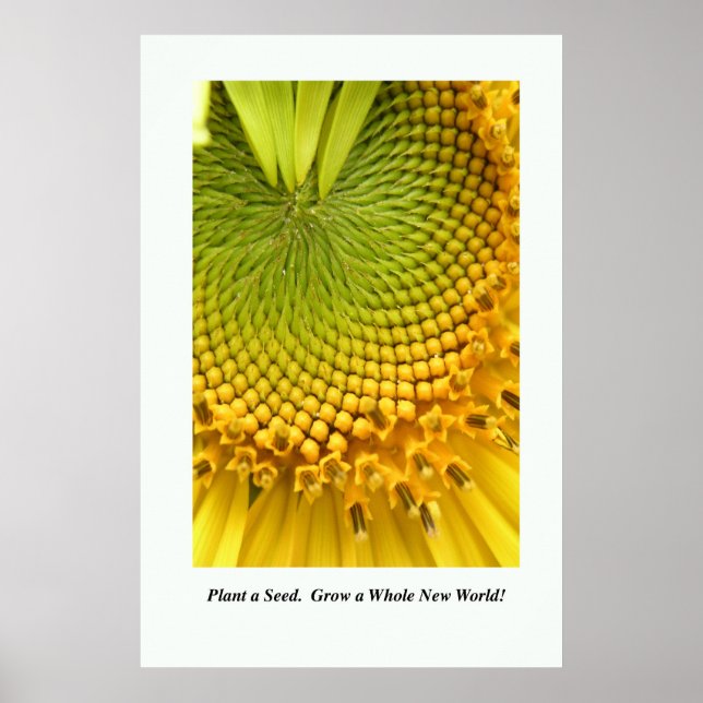 Plantera ett utsäde. Grova en helt ny värld! Poste Poster (Framsidan)