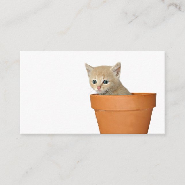 Plantera någon kärlek profilerar kortet (Framsida)