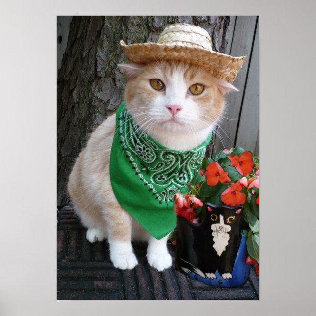 Plantera något poster (Framsidan)