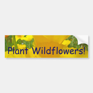 Plantera vildblommor! bil stötfångare klistermärke