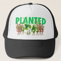 PLANTERAD HATT