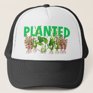 PLANTERAD HATT KEPS