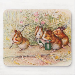 Plantering av Grisar i Garden Musmatta