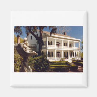 Plantering på Mississippi Magnet