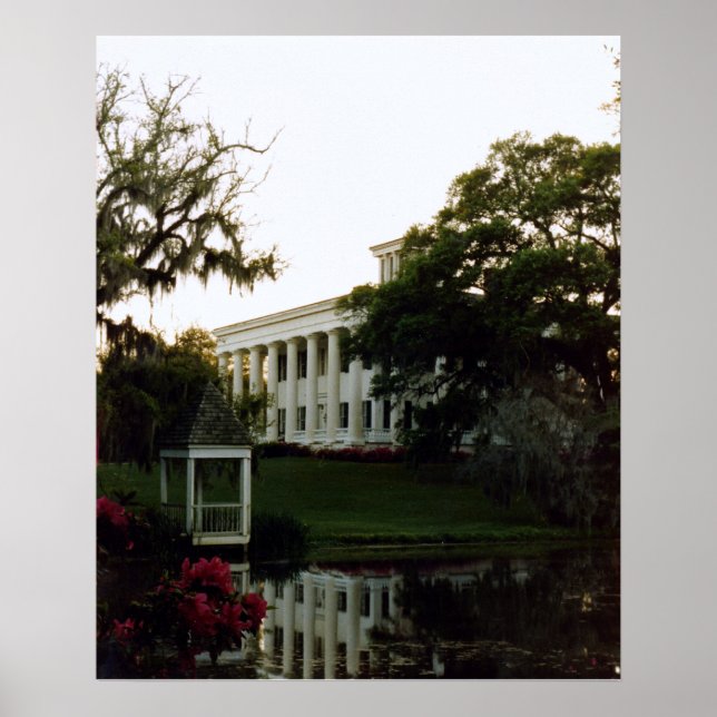 Plantering på Mississippi Poster (Framsidan)