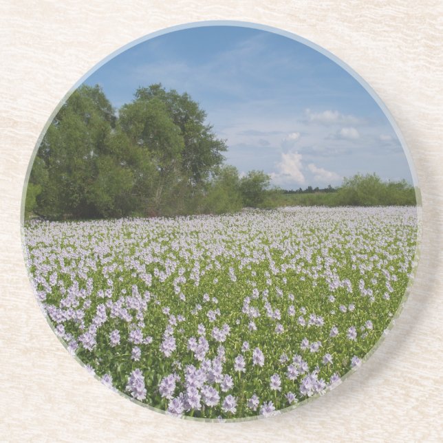 Planterings-/blomningsserien - Blommor på dammsuga Underlägg Sandsten (Framsidan)