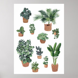 Plantsamling 4 poster