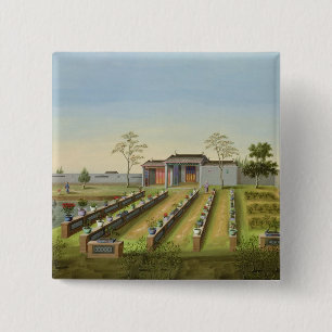 Plantskola c.1820-40 (w/c på papper) knapp