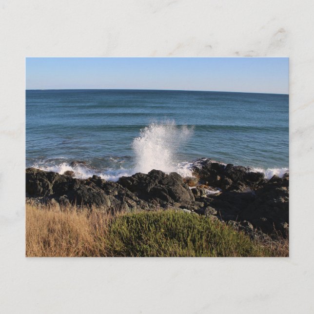 Plask! Vykort (Framsida)