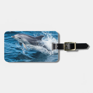 Plaska för delfin bagagebricka