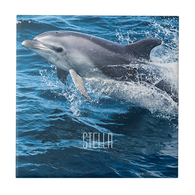 Plaska för delfin kakelplatta (Framsidan)