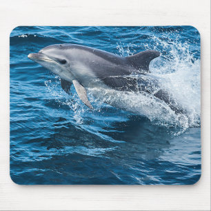 Plaska för delfin musmatta
