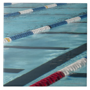 Plast- jobbkort i skapa för simbassäng kakelplatta